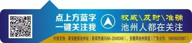 云雾富硒茶怎么样（云雾茶的好处）-硒宝网