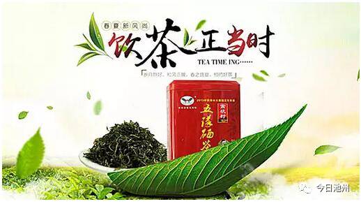 云雾富硒茶怎么样（云雾茶的好处）-硒宝网