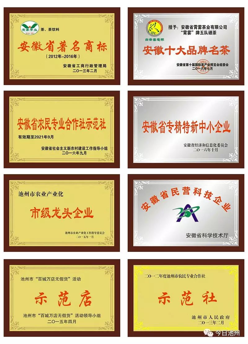 云雾富硒茶怎么样（云雾茶的好处）-硒宝网