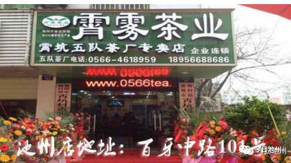 云雾富硒茶怎么样（云雾茶的好处）-硒宝网