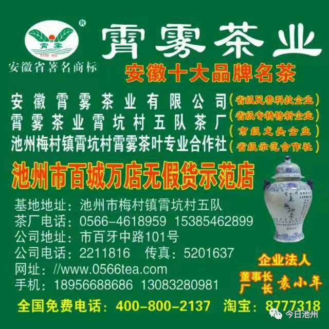 云雾富硒茶怎么样（云雾茶的好处）-硒宝网