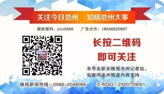 云雾富硒茶怎么样（云雾茶的好处）-硒宝网