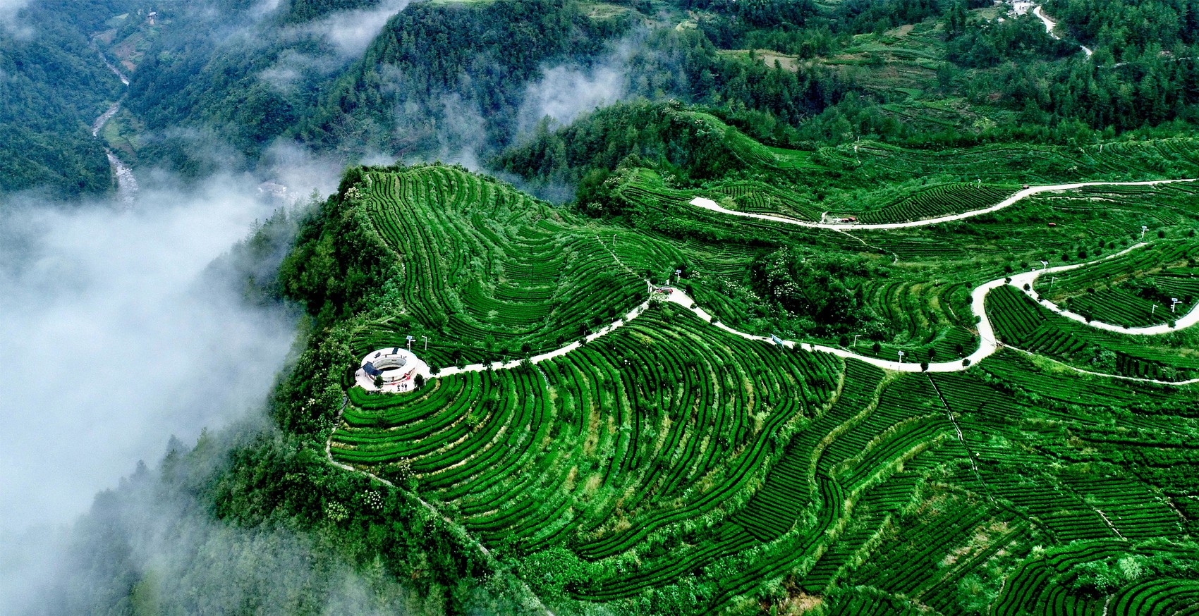 富硒茶专用有机肥（茶叶富硒）-硒宝网