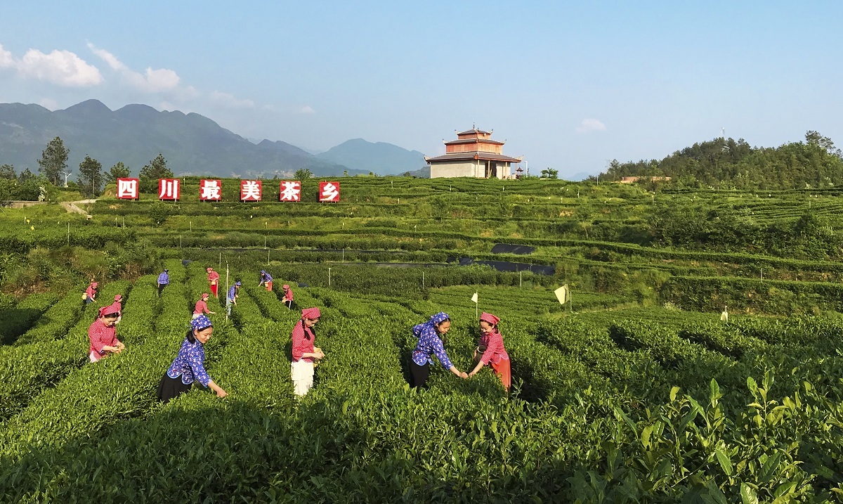 富硒茶专用有机肥（茶叶富硒）-硒宝网