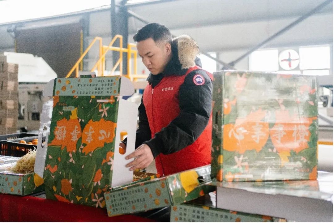 云雾富硒茶怎么样(云雾茶的价格)-硒宝网