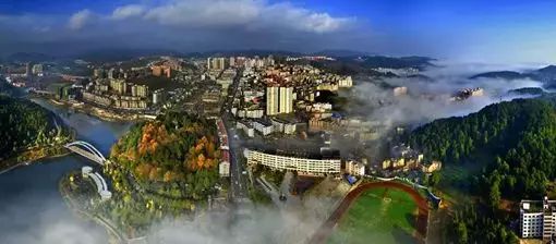 贵阳开阳县富硒茶（开阳富硒茶地理标志）-硒宝网