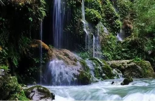 贵阳开阳县富硒茶（开阳富硒茶地理标志）-硒宝网