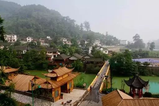 贵阳开阳县富硒茶（开阳富硒茶地理标志）-硒宝网