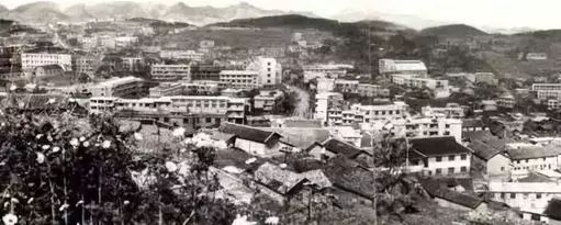 贵阳开阳县富硒茶（开阳富硒茶地理标志）-硒宝网