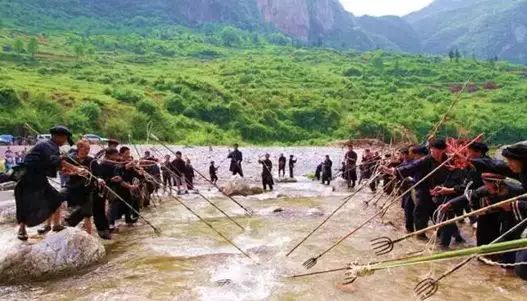 贵阳开阳县富硒茶（开阳富硒茶地理标志）-硒宝网