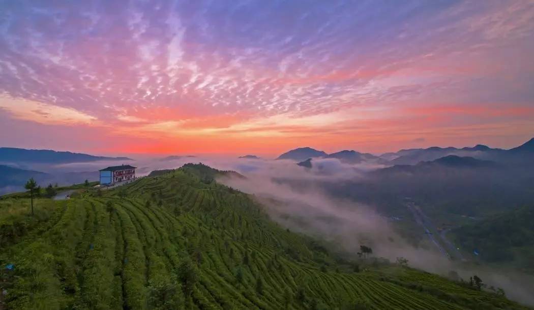 开阳禾丰乡富硒茶(开阳富硒茶t6体验店)-硒宝网