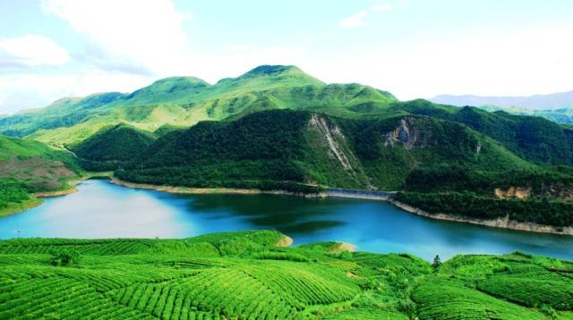 开阳禾丰乡富硒茶(开阳富硒茶t6体验店)-硒宝网