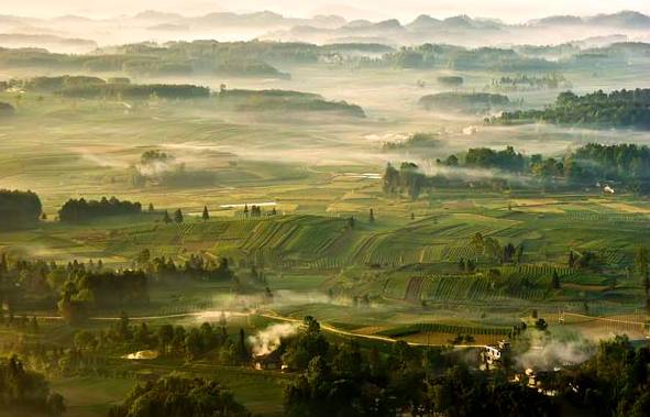 开阳禾丰乡富硒茶(开阳富硒茶t6体验店)-硒宝网