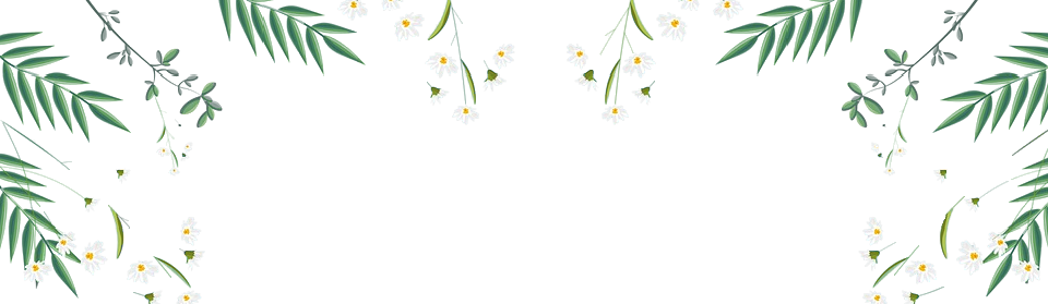 早春富硒茶策划案(早春茶茶语)-硒宝网