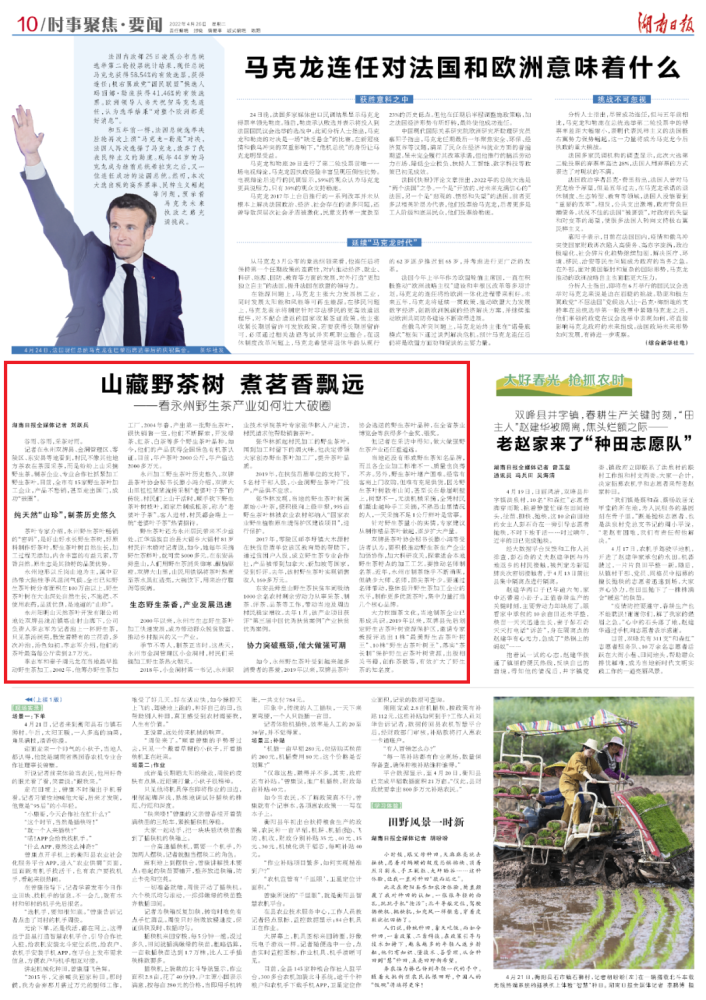 永州市富硒有机茶（紫阳富硒茶）-硒宝网