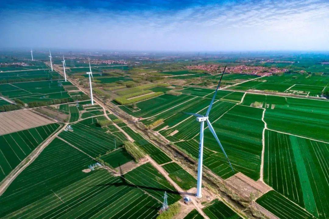 安康富硒茶企业家(安康富硒茶产业)-硒宝网