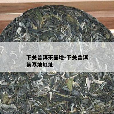 富硒普洱茶的种植（富硒普洱茶好处）-硒宝网