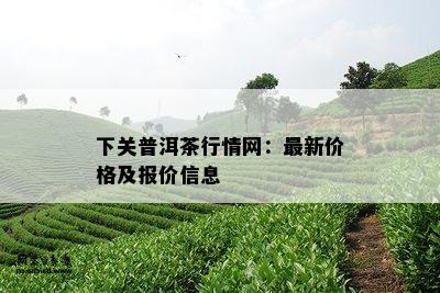 富硒普洱茶的种植（富硒普洱茶好处）-硒宝网