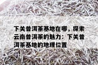 富硒普洱茶的种植（富硒普洱茶好处）-硒宝网