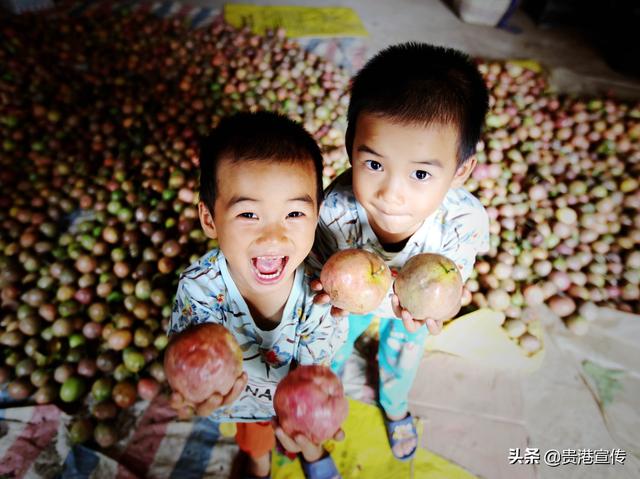 西山富硒茶怎么样(富硒高山茶)-硒宝网