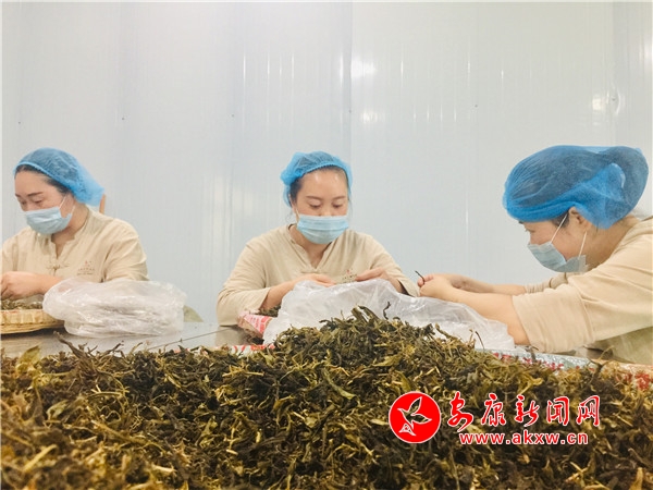 邱红英紫阳富硒茶（紫阳富硒茶红茶多少钱一斤）-硒宝网