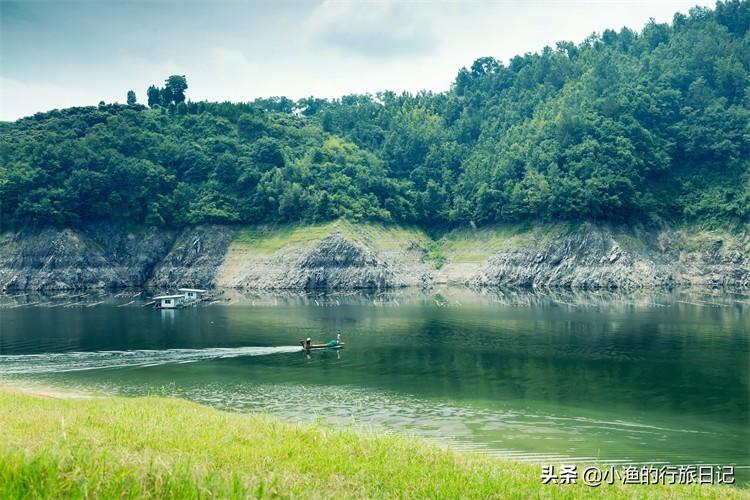 陕西富硒茶好不好（陕西富硒茶多少钱一斤）-硒宝网