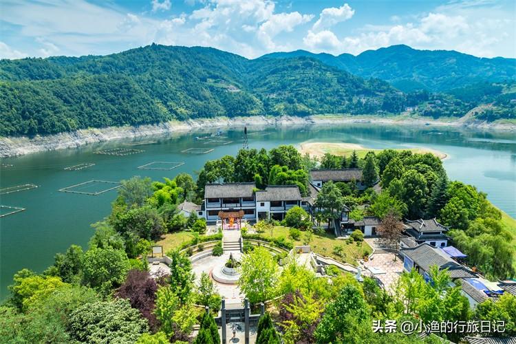 陕西富硒茶好不好（陕西富硒茶多少钱一斤）-硒宝网