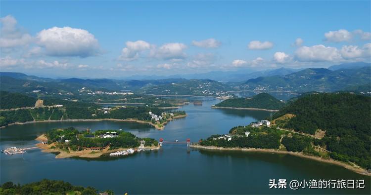 陕西富硒茶好不好（陕西富硒茶多少钱一斤）-硒宝网