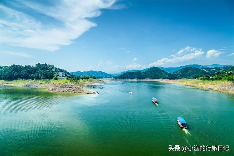 陕西富硒茶好不好（陕西富硒茶多少钱一斤）-硒宝网