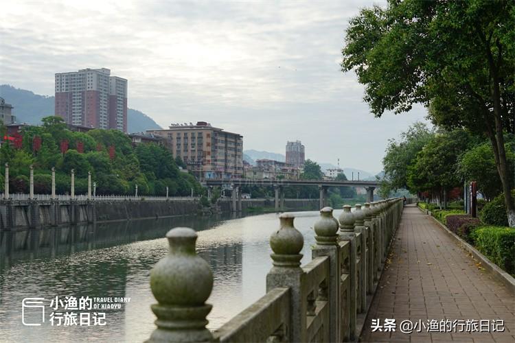 陕西富硒茶好不好（陕西富硒茶多少钱一斤）-硒宝网