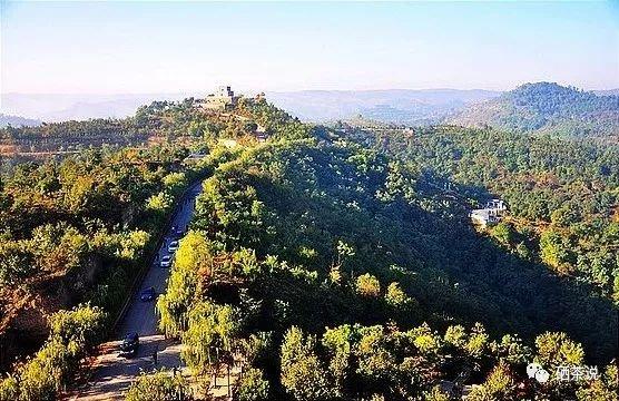 有机茶富硒大红袍（茶叶大红袍功效与作用）-硒宝网