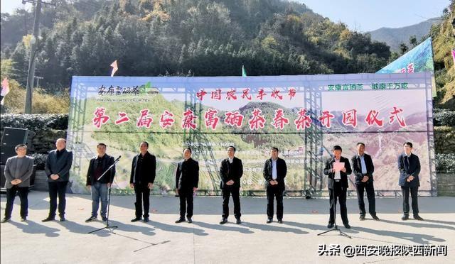 淘宝网陕南富硒茶（陕西富硒茶叶）-硒宝网