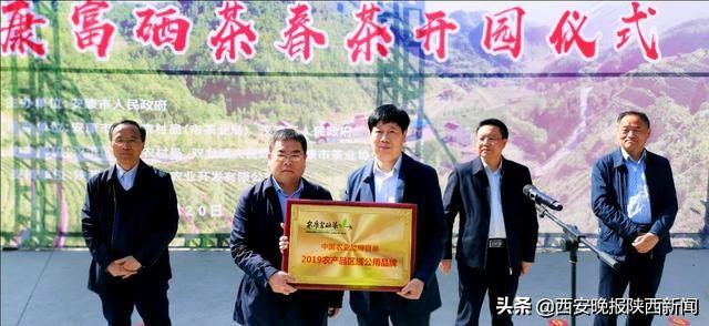 淘宝网陕南富硒茶（陕西富硒茶叶）-硒宝网