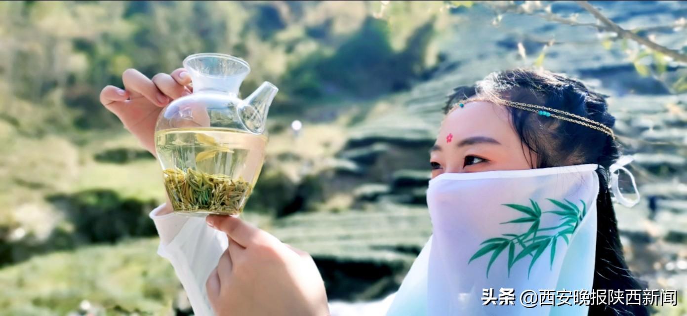 淘宝网陕南富硒茶（陕西富硒茶叶）-硒宝网
