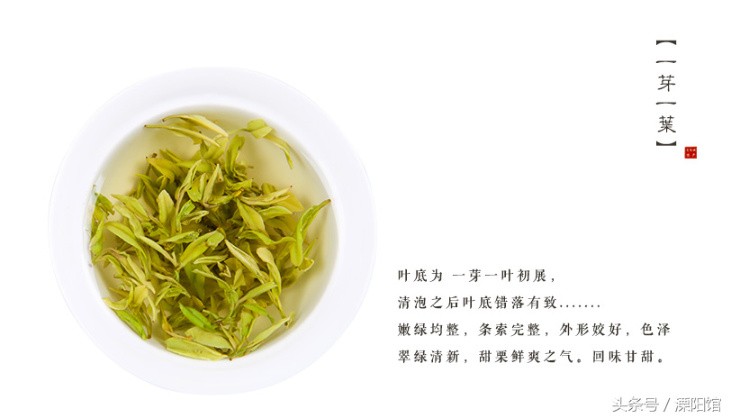 富硒茶的喝法饮品（喝茶法饮品富硒含量多少）-硒宝网