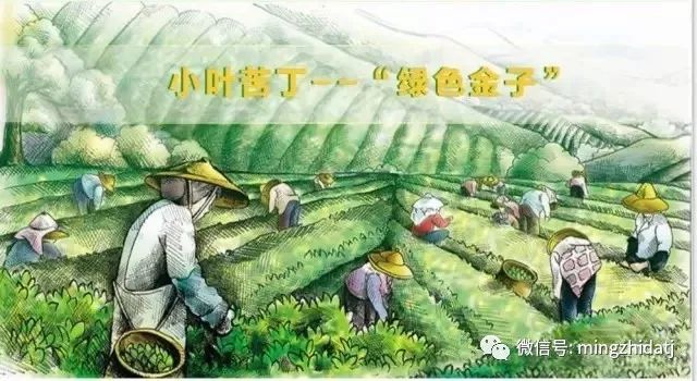 富硒茶对肝病好吗(富硒茶对肝有好处吗)-硒宝网