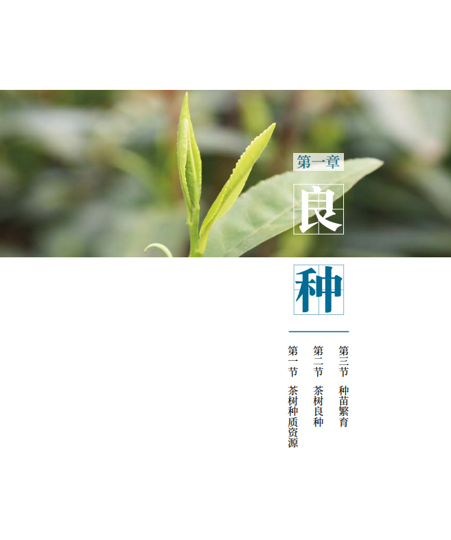 罗溪野生富硒黑茶(罗溪富硒高山黑茶)-硒宝网