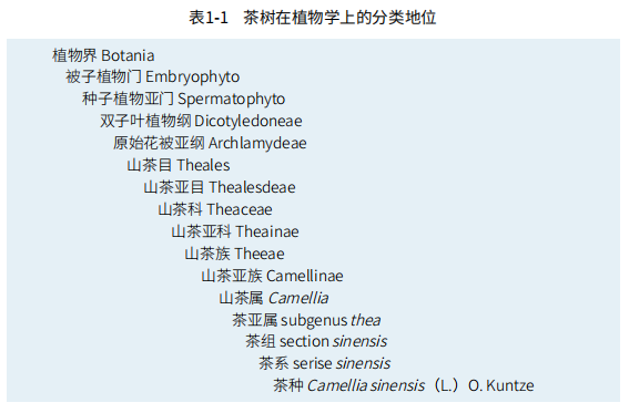 罗溪野生富硒黑茶(罗溪富硒高山黑茶)-硒宝网