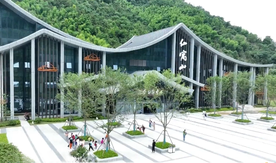 石台仙寓富硒野茶(石台仙寓山野茶)-硒宝网