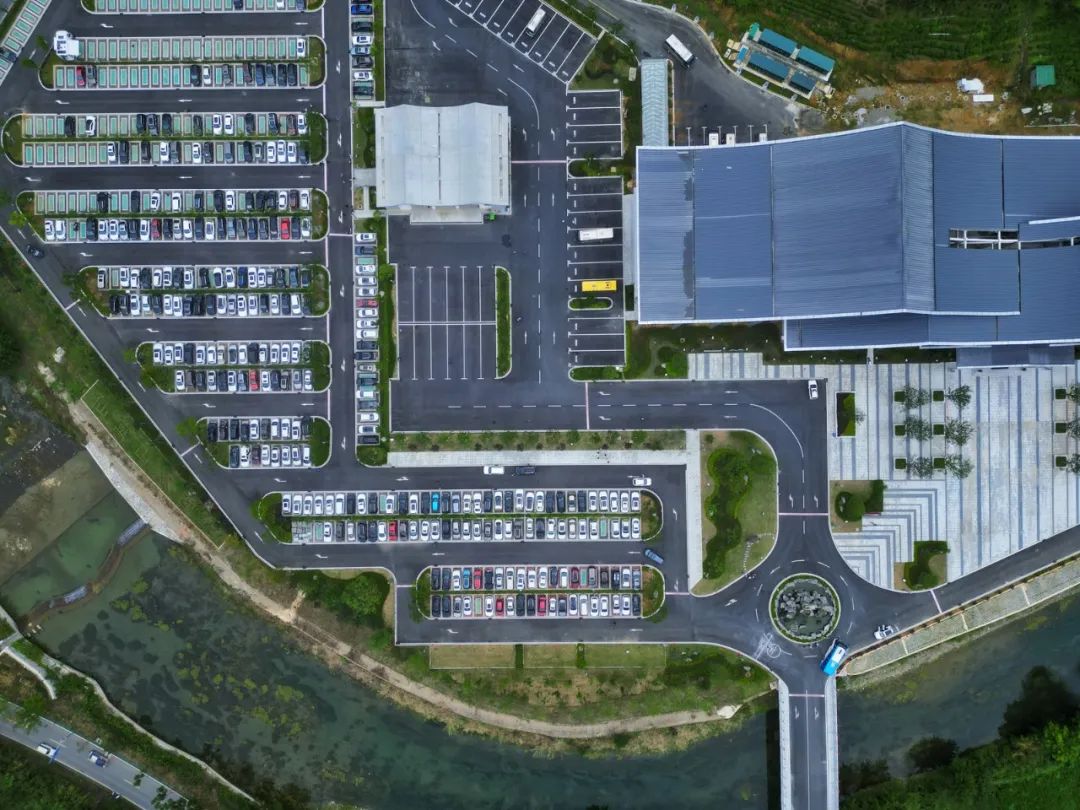 石台仙寓富硒野茶(石台仙寓山野茶)-硒宝网