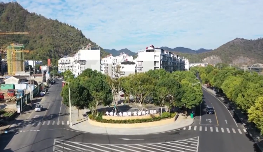 石台仙寓富硒野茶(石台仙寓山野茶)-硒宝网