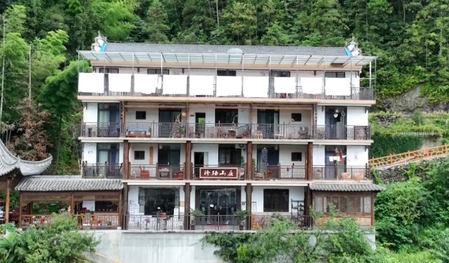 石台仙寓富硒野茶(石台仙寓山野茶)-硒宝网