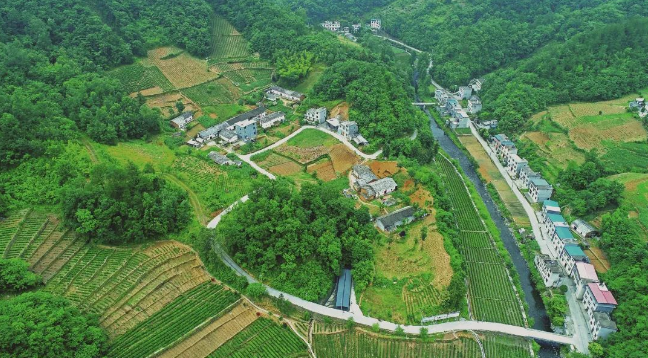 离子富硒茶金三仓（离子富硒茶金三仓）-硒宝网