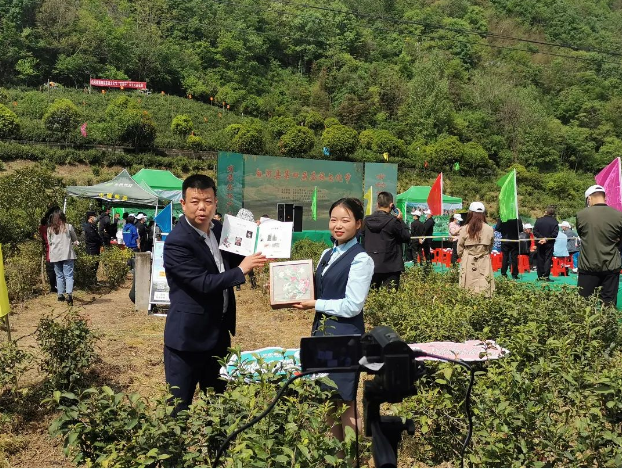 离子富硒茶金三仓（离子富硒茶金三仓）-硒宝网