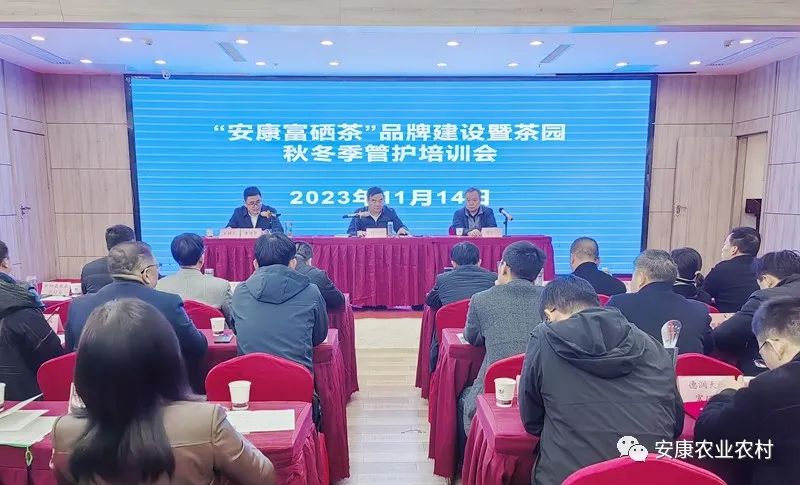 安康富硒茶产业园(安康富硒茶发展情况)-硒宝网