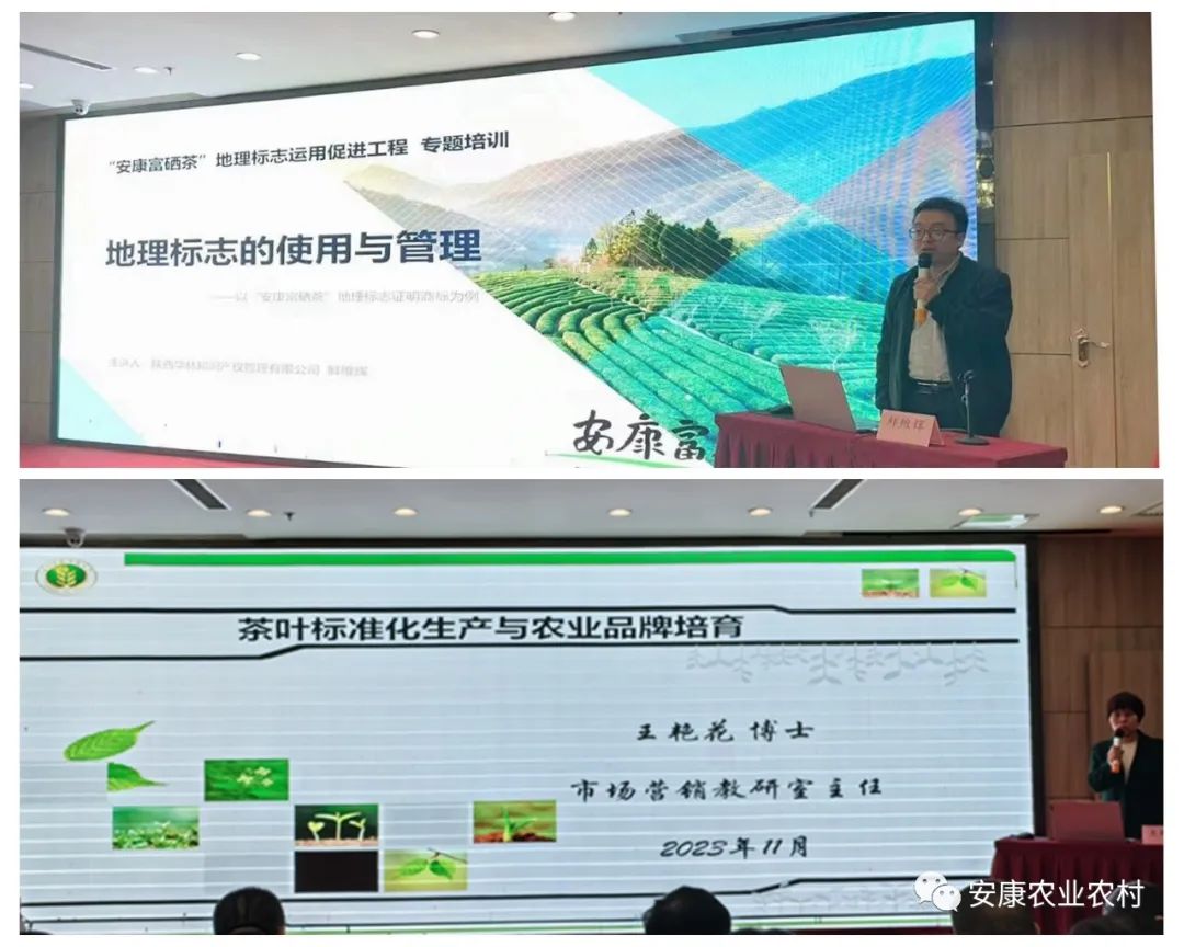 安康富硒茶产业园(安康富硒茶发展情况)-硒宝网