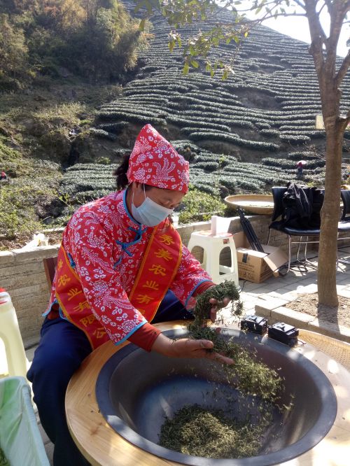 滚茗牌安康富硒茶（安康富硒茶是什么茶）-硒宝网