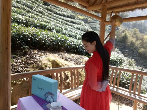 滚茗牌安康富硒茶（安康富硒茶是什么茶）-硒宝网