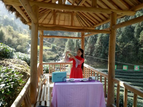 滚茗牌安康富硒茶（安康富硒茶是什么茶）-硒宝网