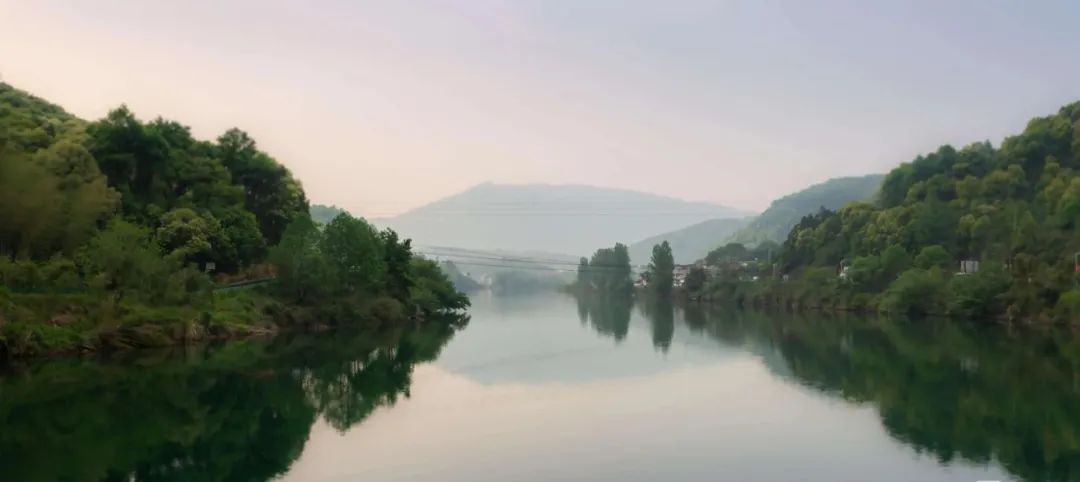 石台县特产富硒茶（石台富硒产品）-硒宝网